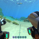 Image for article titled Subnautica, As Told By Its Bug Reports